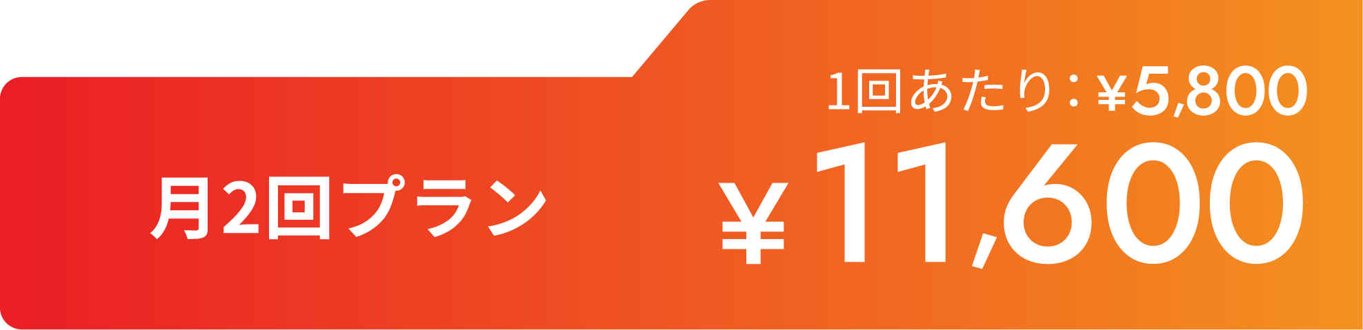 月2回プラン¥11,600