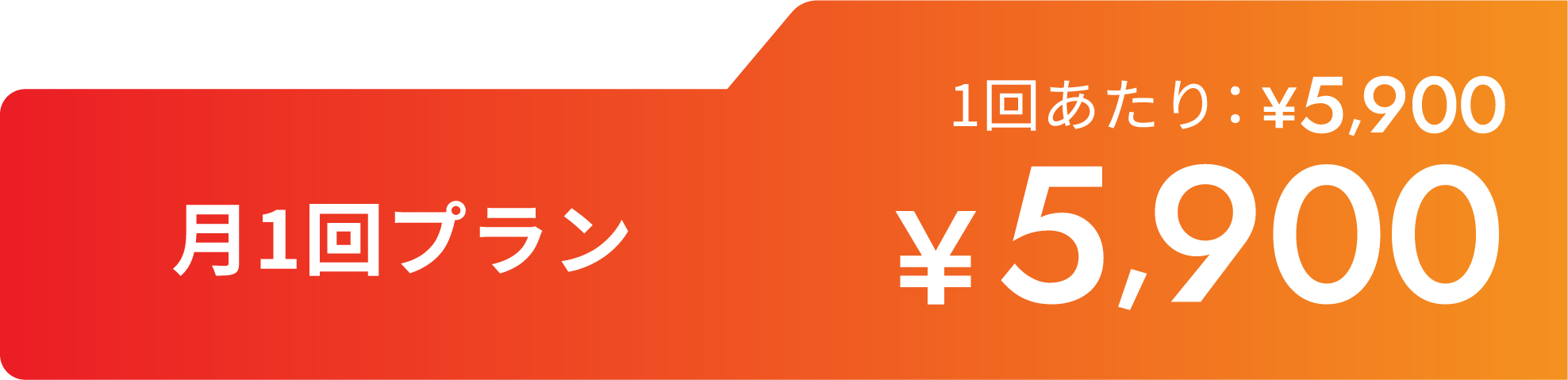 月1回プラン¥5,900